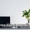 Houseplants Might Be Behind Your Sluggish Wi-Fi