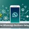AI Makes WhatsApp Business Setup Easier